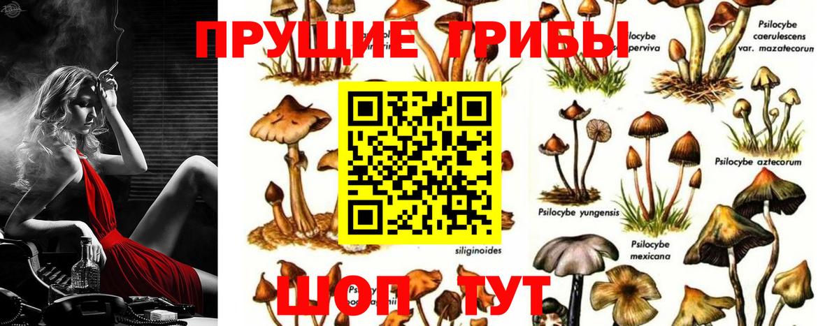 Галлюциногенные грибы мухоморы  Псилоцибиновые грибы Psilocybine cubensis  где продают наркотики  Кириши  Вход с VPN 